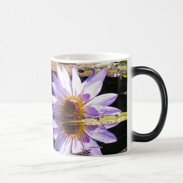 Taza Mágica Flor púrpura de Waterlily en flor (Derecha)