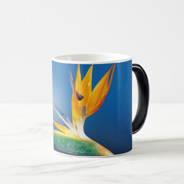 Taza Mágica flor única 2 (Anverso derecho)