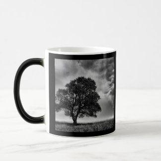 Taza Mágica Foto de árbol y cielo en B&W