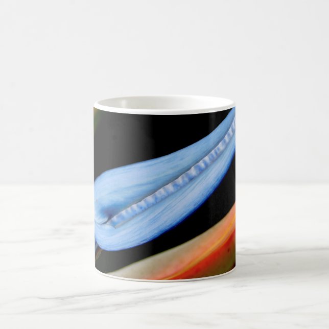 Taza Mágica Foto de Ave del Paraíso (Centro)
