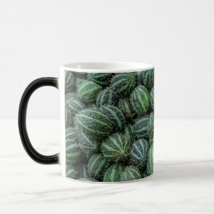 Taza Mágica Foto de Cucamelón Fresco Verde con Rayas Fruta Mex