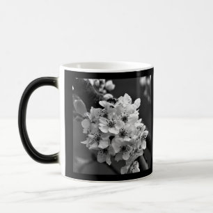 Taza Mágica Foto de flores blancas pequeñas en B&W