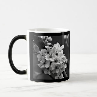 Taza Mágica Foto de flores blancas pequeñas en B&W