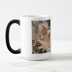 Taza Mágica Foto de gatito ginger, mejor terapeuta, 