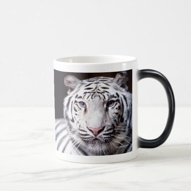 Taza Mágica Fotografía blanca del tigre de Bengala (Derecha)