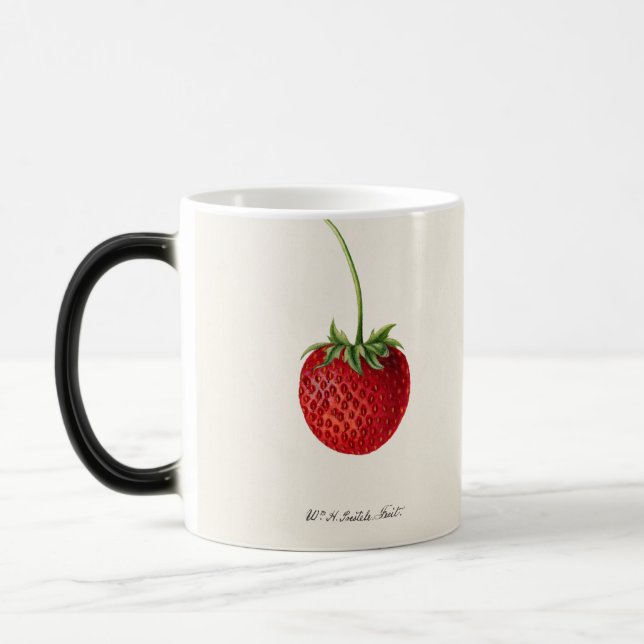 Taza Mágica Fresa de época (Izquierda)