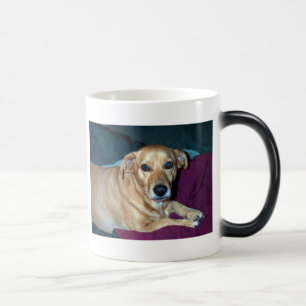 Taza Mágica Frijol de media luna, frijol de media luna, frijol