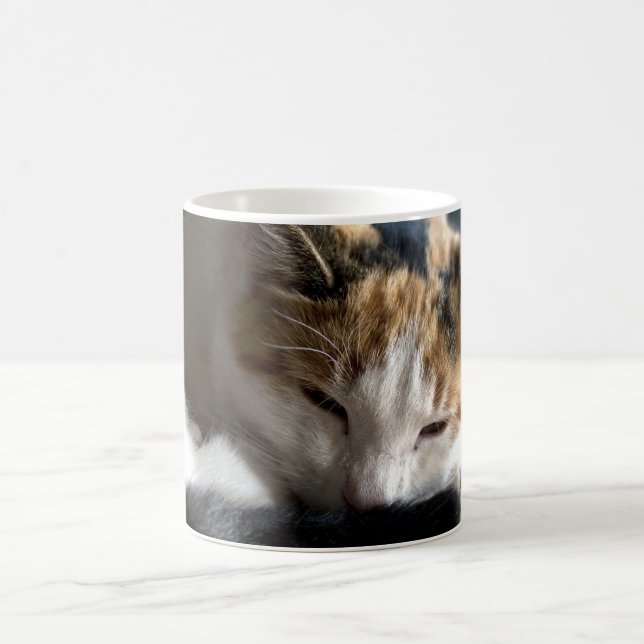 Taza Mágica Gato calico durmiente (Centro)
