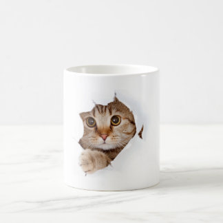Taza Mágica gato de belleza coffe mug -grumpy kitty