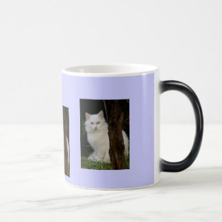 Taza Mágica gato de la magia blanca