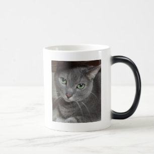 Taza Mágica Gato gris azul ruso