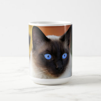 Taza Mágica Gato kitty siamés con los ojos grandes y grandes