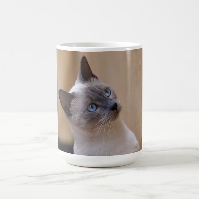 Taza Mágica Gato siamés (Centro)