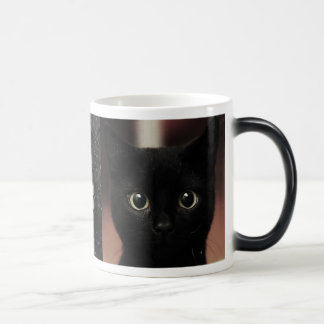 Taza Mágica Gatos negros