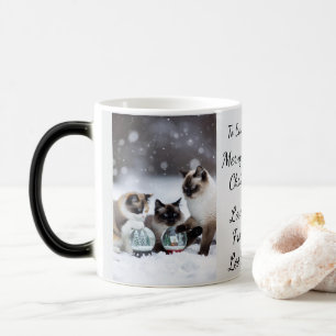 Taza Mágica Glorieta de gato, nombres de imagen texto, persona