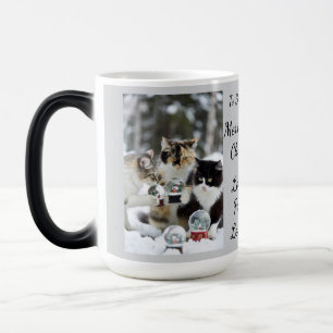Taza Mágica Glorieta de nieve de gato, nombres de imágenes Tex