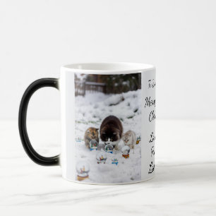 Taza Mágica Glorieta de nieve de gato, nombres de imágenes Tex