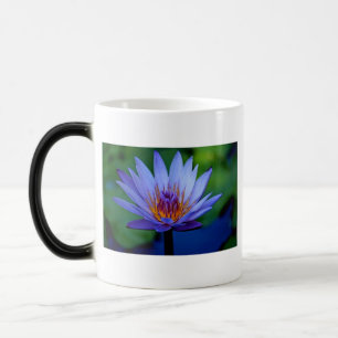 TAZA MÁGICA GRADO FLORAL