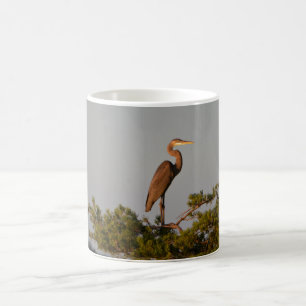 Taza Mágica Gran garza azul en la parte superior del árbol