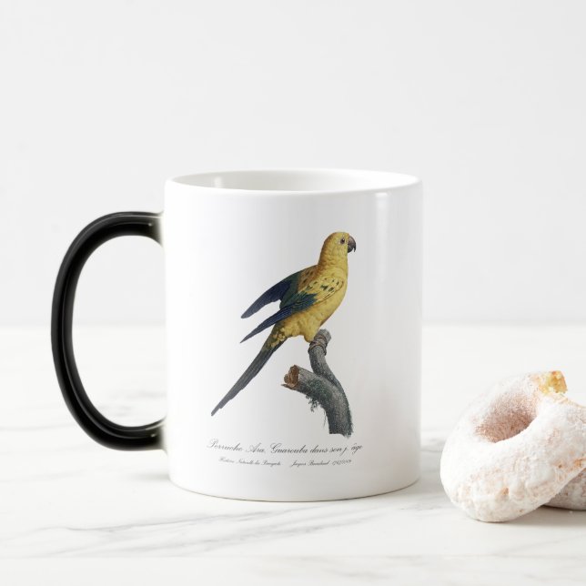 Taza Mágica Guarouba dans hijos jeune age / Sun parakeet (Con donut)