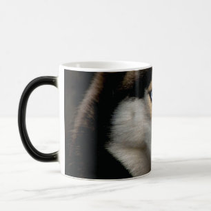 Taza Mágica Hermosa almohada de lanzamiento Husky