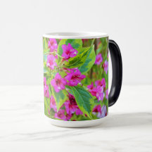 Hermosa Weigela verde con flores de Crimson