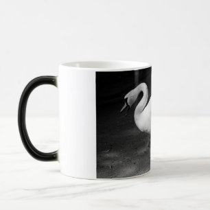 Taza Mágica HiSSs