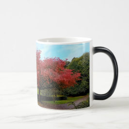Taza Mágica Hojas rojas