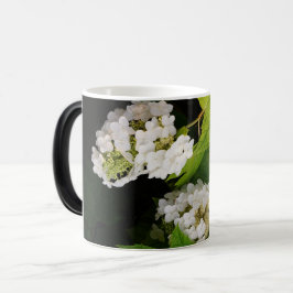 Taza Mágica Hortensia de hoja de roble