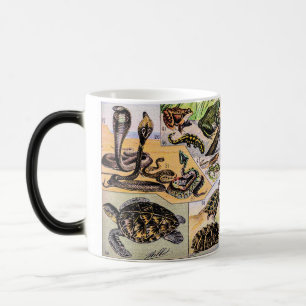 Taza Mágica Ilustracion de Reptiles Vintage por Adolphe Millot