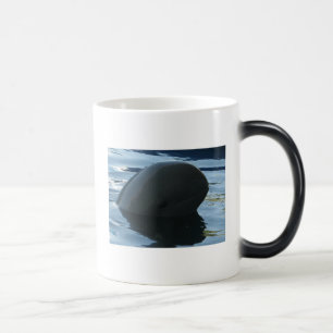 Taza Mágica Irrawaddy Dolphin Peek-A-Boo