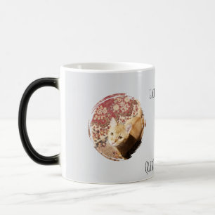 Taza Mágica Juzgándote Rápidamente, foto de Gato, Humor