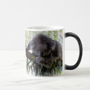 Taza Mágica Koala mimosa
