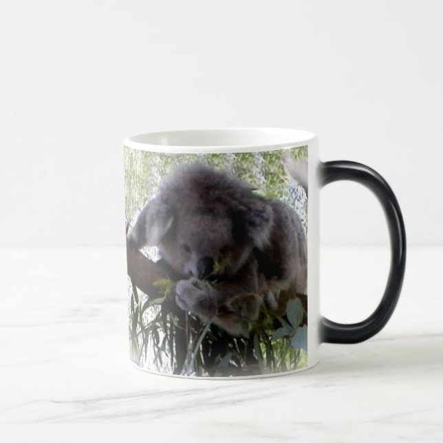 Taza Mágica Koala mimosa (Derecha)