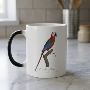 Taza Mágica L' Ara Macao / Macao rojo y verde
