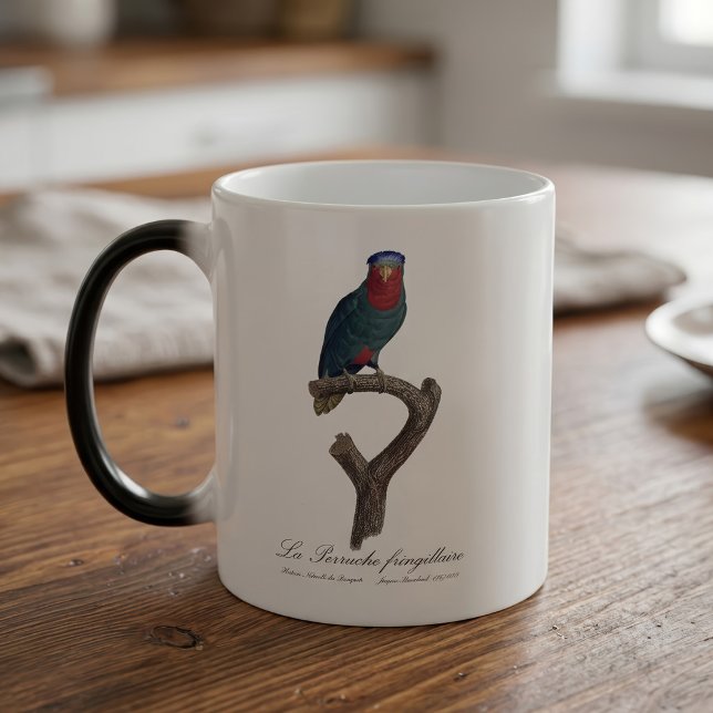 Taza Mágica La cotorra fringilácea (Blue-Crowned Lorikeet, Vini Australis. Color Morph Mug)