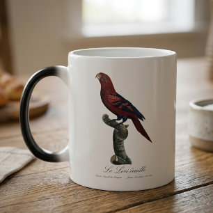 Taza Mágica Le Lori ecaille / Loria de barro azul