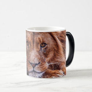 Taza Mágica León africano
