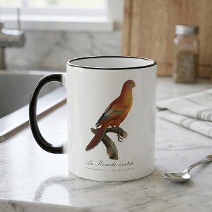 Taza Mágica Lori rojo o Eos Bornea, Trichoglossus borneus