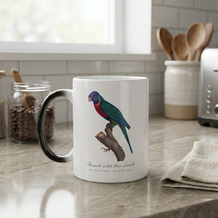 Taza Mágica Loricito arcoíris hembra, Trichoglossus moluccanus