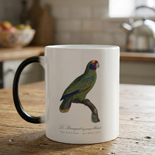 Taza Mágica Loro de Cola Roja Amazona, Amazona Brasiliensis
