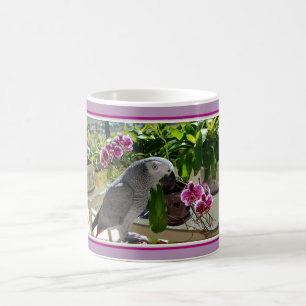 Taza Mágica Loro del gris africano con las orquídeas