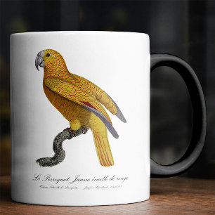 Taza Mágica Loro del Paraíso de Cuba, Psittacus Paradisi