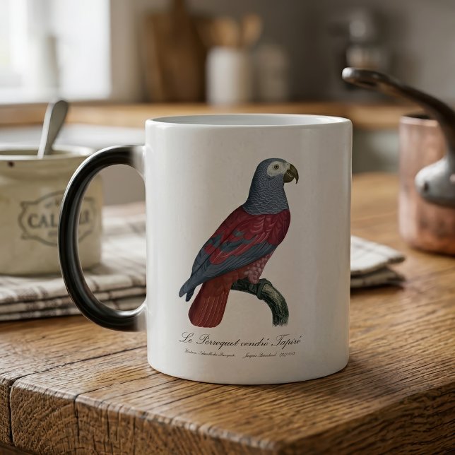 Taza Mágica Loro Gris Africano Factor Rojo Psittacus Erithacus (African Grey Parrot Red Factor Psittacus Erithacus. Color Morph Mug)