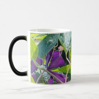 Taza Mágica Los ojos de la mariposa