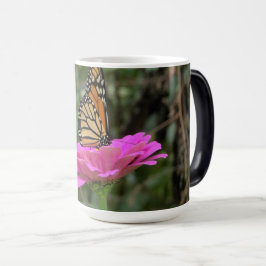Taza Mágica Mariposa monarca en una flor rosada de la zinnia B