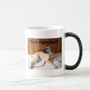 Taza Mágica Mastif, amo mi mastif.
