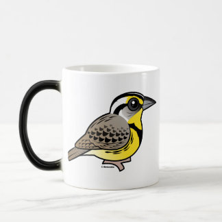 Taza Mágica Meadowlark occidental