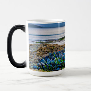 Taza Mágica Mejillones