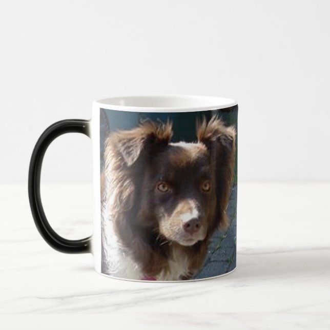 Taza Mágica miniature american shepherd red tri (Izquierda)